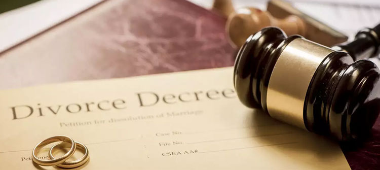 Litigation Support