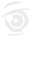 Expert Investigators