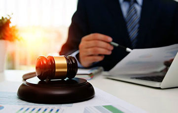Litigation Support Services